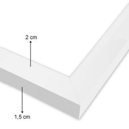 Wallity Cuadro decorativo enmarcado en MDF Multicolor 24 x 29 cm